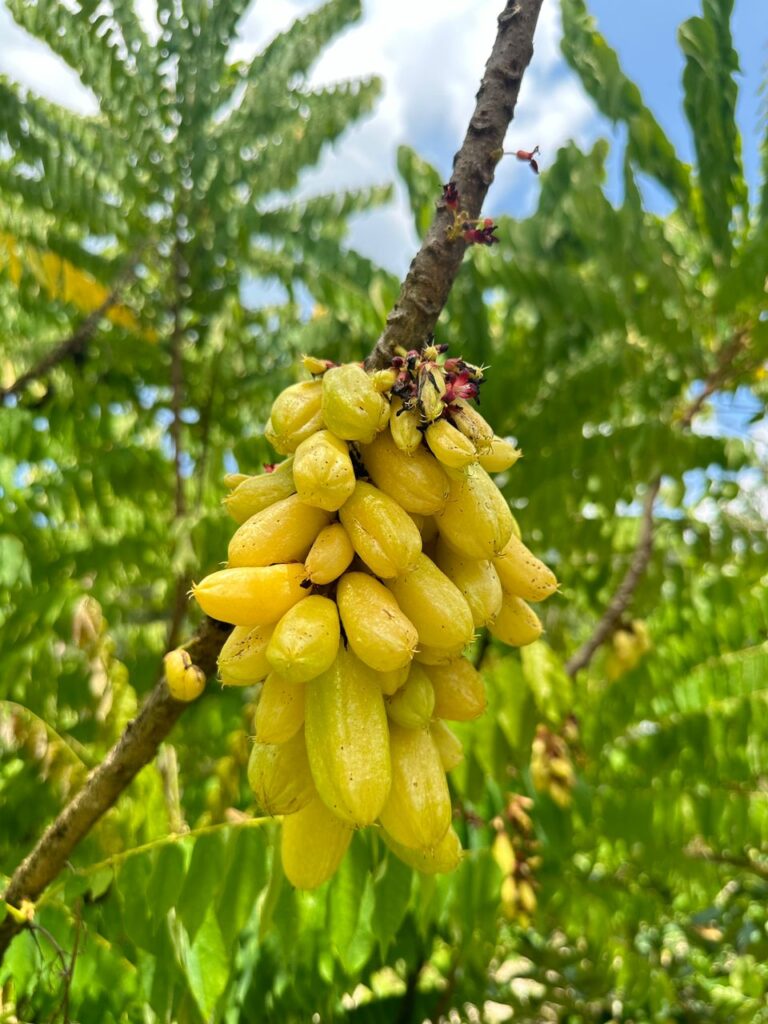 154a5004 48e2 4a85 89f7 ce76cf7c96dc